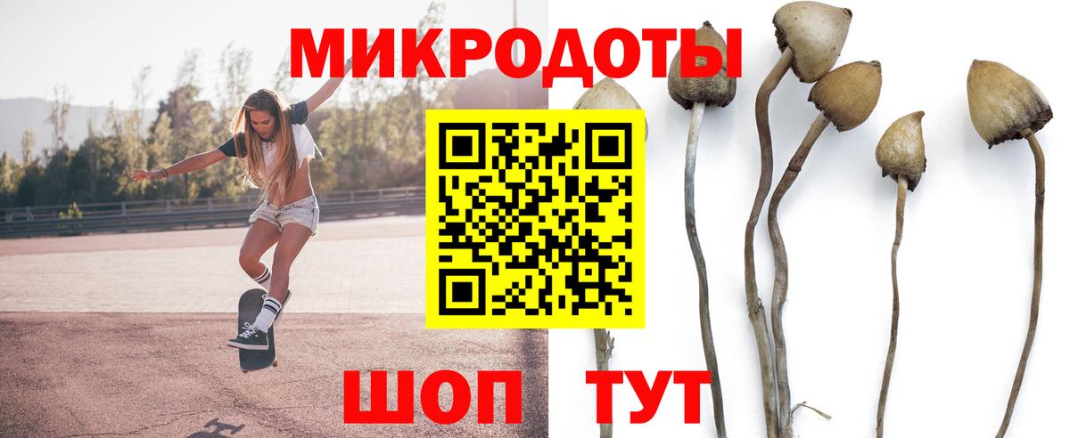 Галлюциногенные грибы прущие грибы Медногорск